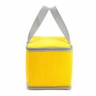 Pantone Insulated Cooler Bags Reusable With Aluminum Film